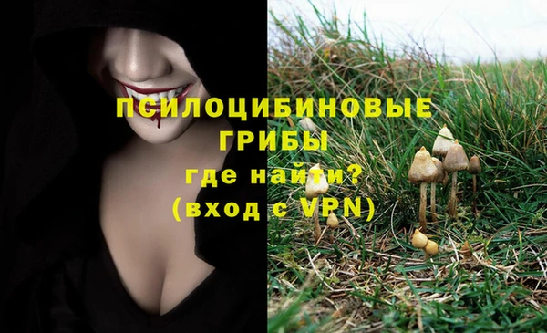 трава Новодвинск