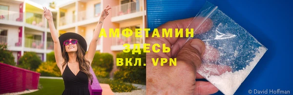 трава Новодвинск