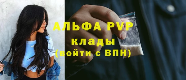 трава Новодвинск
