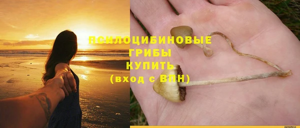 трава Новодвинск