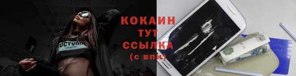 трава Новодвинск