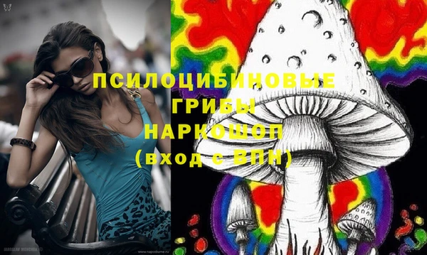 трава Новодвинск