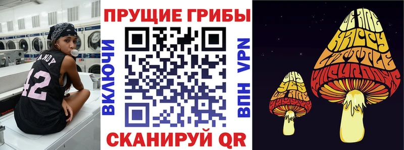 Псилоцибиновые грибы GOLDEN TEACHER  Купить закладки  Таштагол 